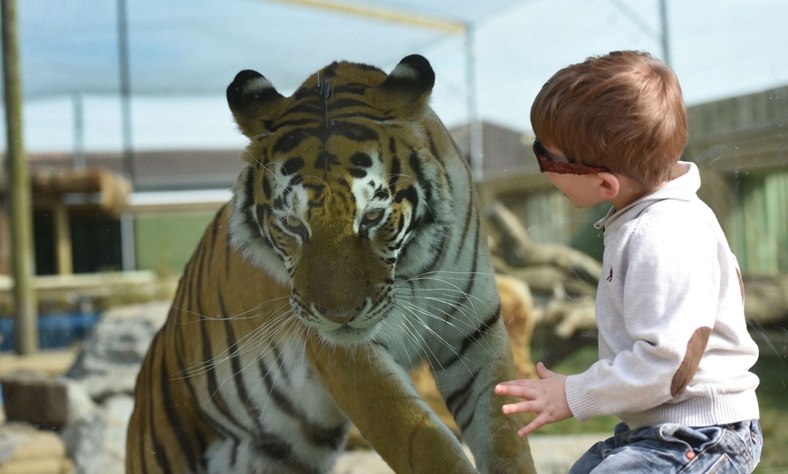 Image 4: Lincolnshire Wildlife Park: Child (£5), Adult (£7)