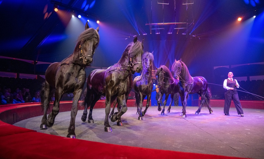 Image 2: Le Grand Cirque Arlette Gruss à Bordeaux