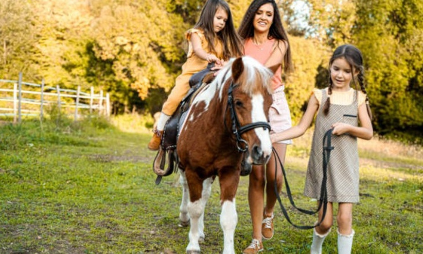 Image 9: Paseo en poni para niños con La Finca Pony Club