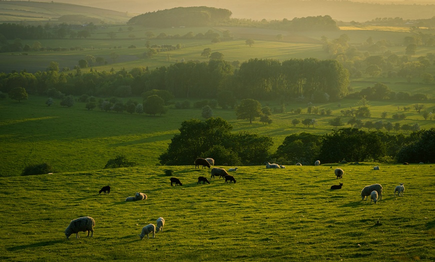 Image 2: North Yorkshire Dales: Standard or Superior Double Room with Breakfast