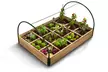 1 ou 2 serres de potager à 12 compartiments - Second Medium
