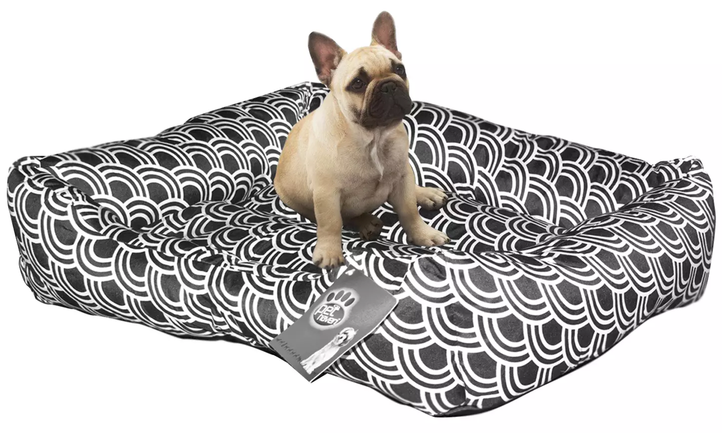 Zummy Low-Bumper Pet Bed - Second Medium