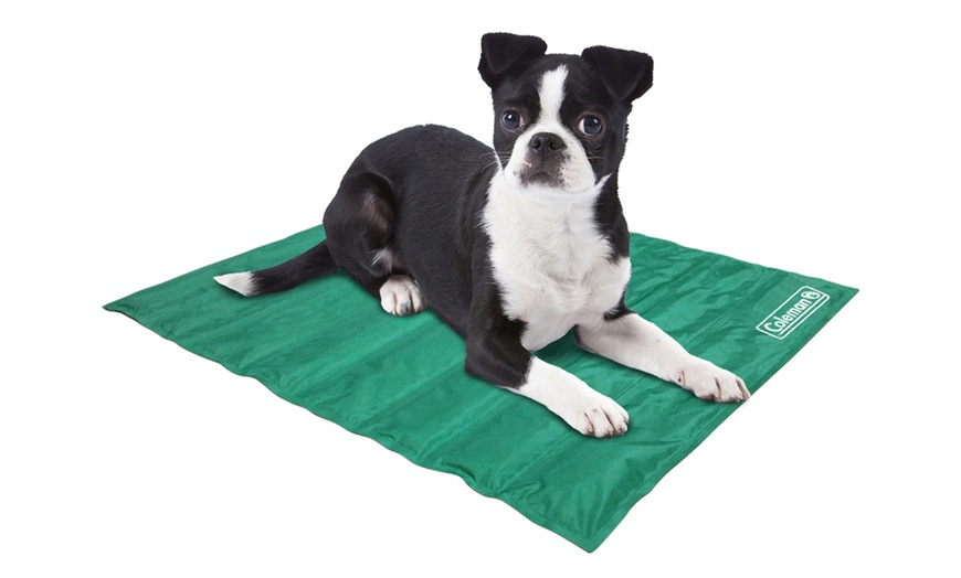 Groupon dog cooling hot sale mat