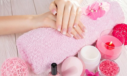 Gel-X Extension Single Color - Nail Pro