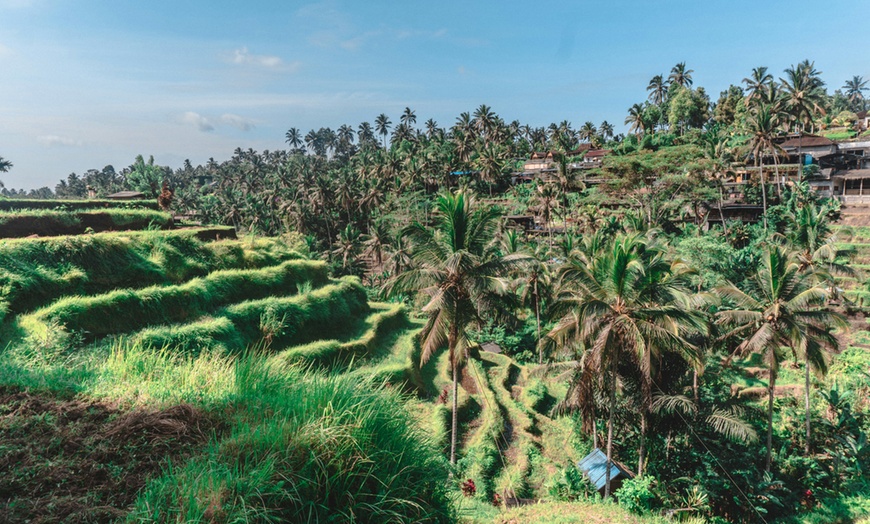 Image 6: ✈  Kuta & Ubud: 7 Nights with Flights and Hotel Stay