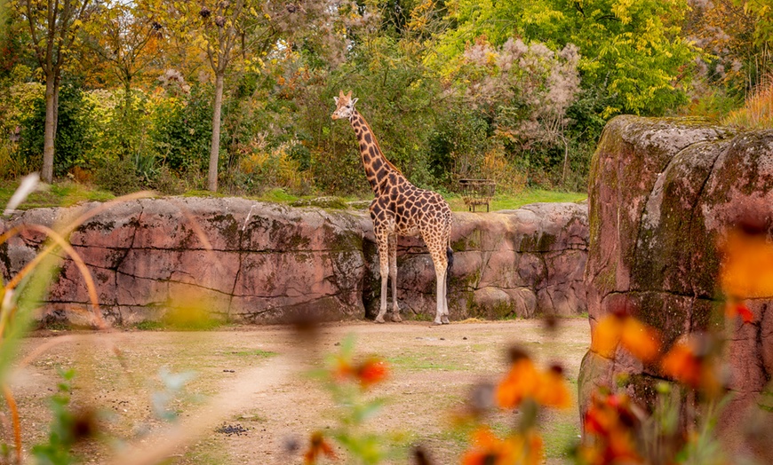 Image 12: Eintrittskarte für GaiaZOO