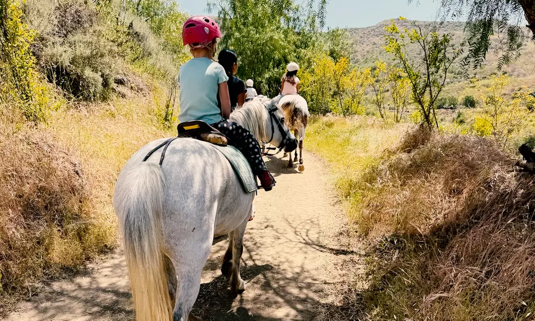 Embark on Adventure: Riding Horseback Riding Lesson For Up to 4