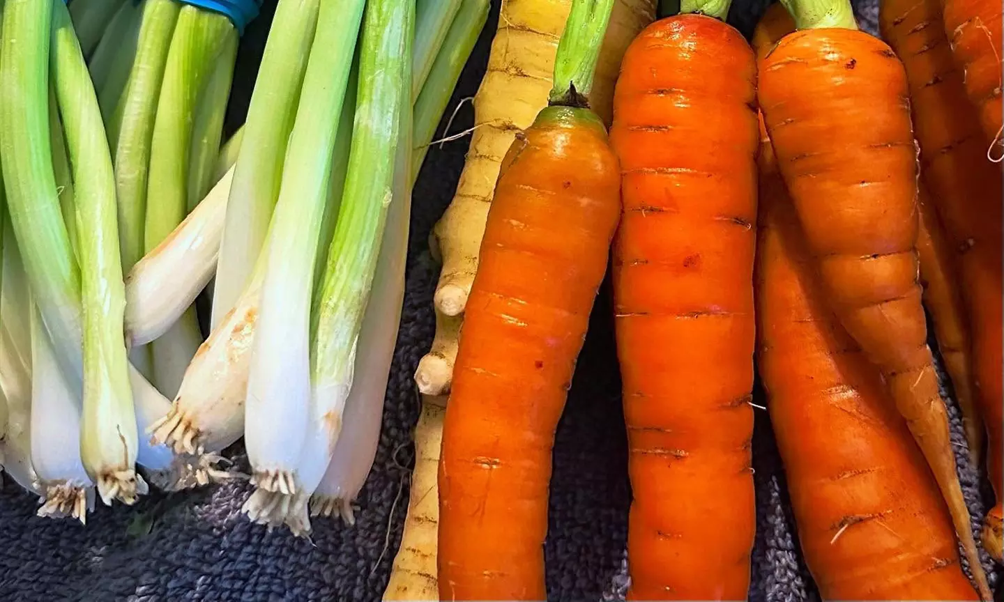 $100/$150 Worth of Farm Goods+Farm-to-Table Cookbook+1 Hr Private Tour