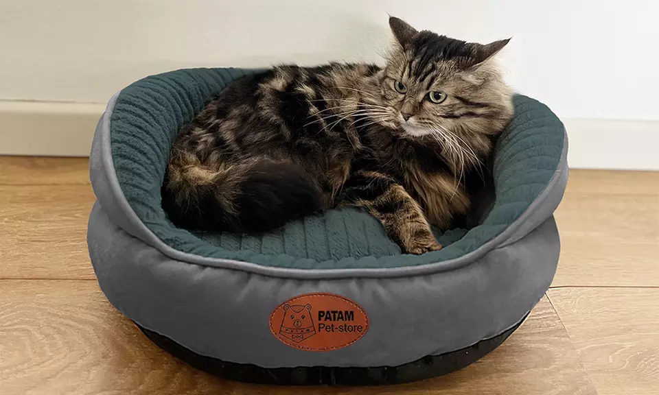 Cucce, lettini e divanetti per cani e gatti in vari modelli e misure