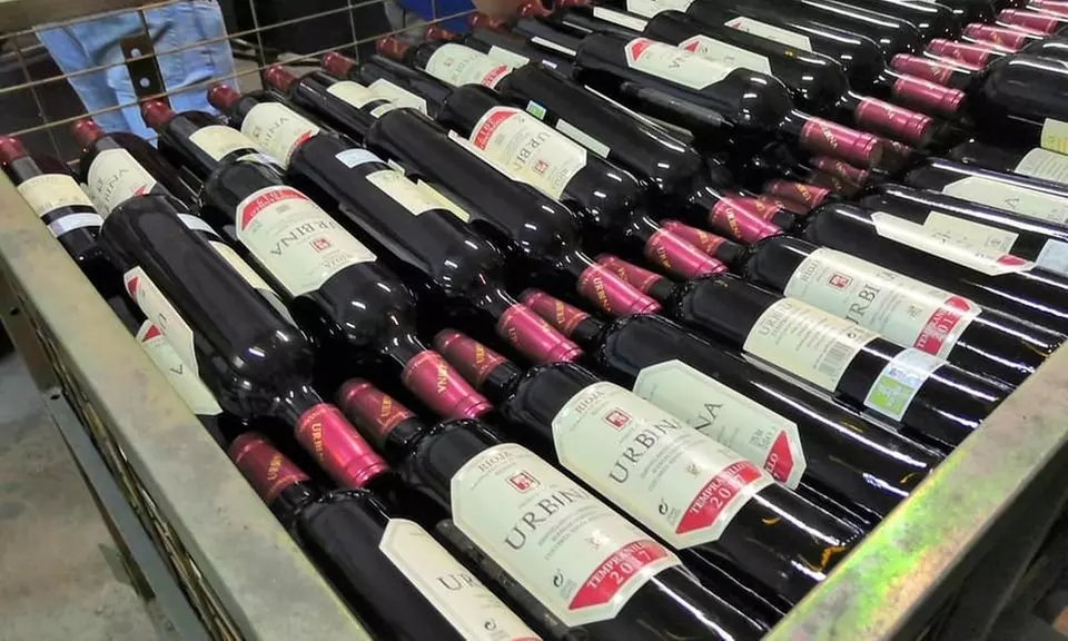 Visita guiada a la bodega y cata de vinos en Bodegas Urbina