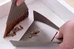 Mini Dust Pan and Brush - Image 5