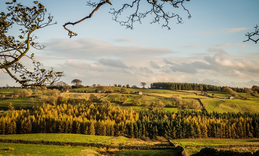 Image 12: North Yorkshire: Bivouac Stay