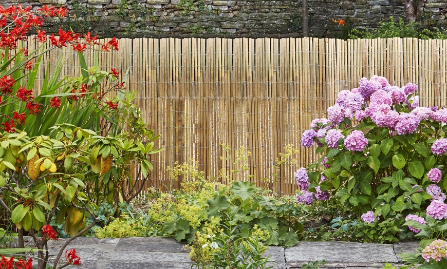 Image 1: Bamboo Slat Fences