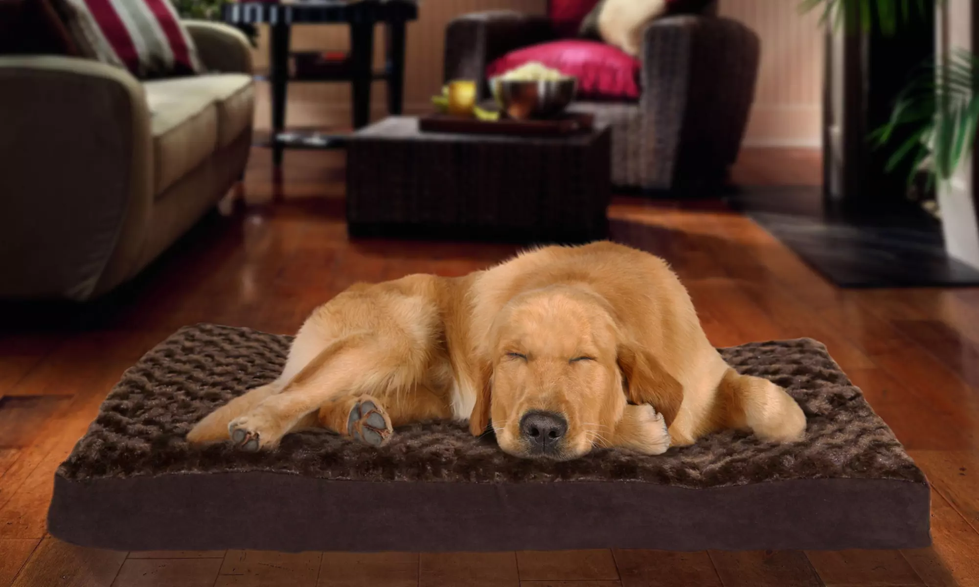 Faux Fur/Suede or Terry/Suede Orthopedic Pet Beds from $16.99-$34.99. Multiple Sizes and Styles Available.  - Primary Image