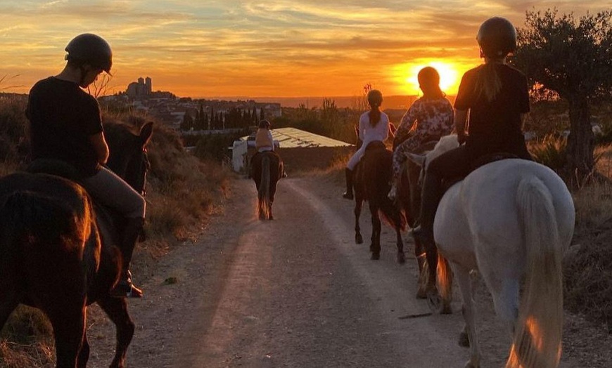 Image 1: Paseo a caballo para 2 o 4 personas en Hípica Los Jarales