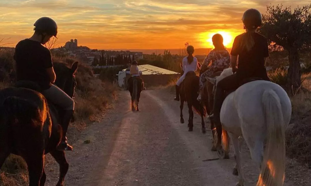 Paseo a caballo para 2 o 4 personas en Hípica Los Jarales