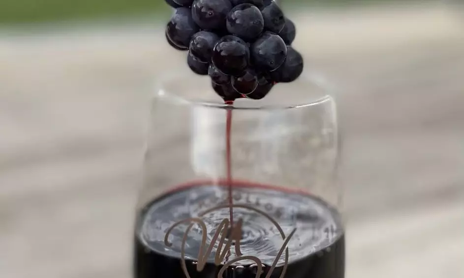 Wine Tasting For One, Two, or Four People at Mogollon Vineyards (Up to 32% Off) - Primary Image