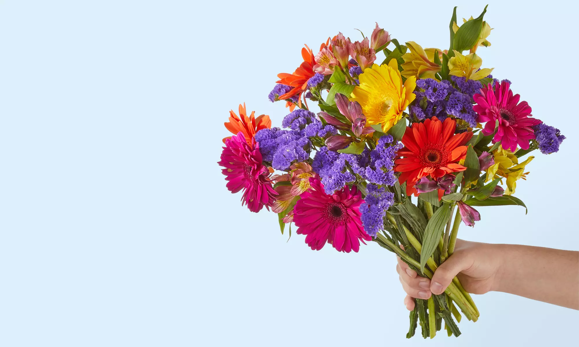 Fresh Cutd from Proflowers (Up to 44% Off) - Primary Image
