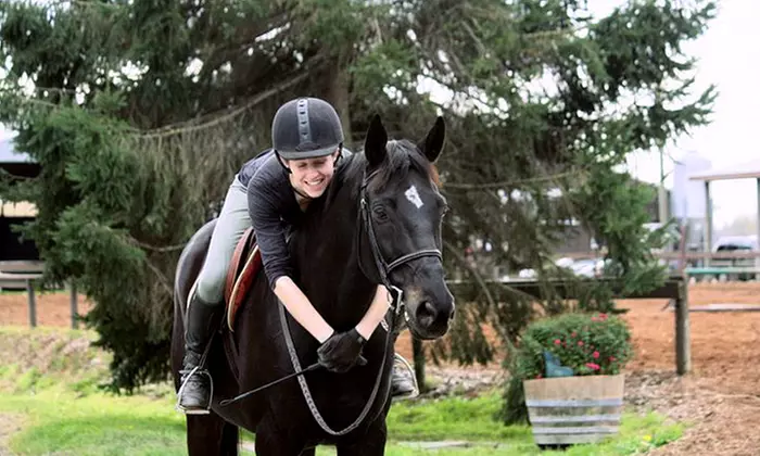 Two Individual 45-Minute Horseback-Riding Lessons at Crescent Stables (Up to 54% Off) - Primary Image