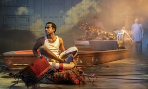 London: 1 or 2 Nights with Life of Pi Musical Theatre Ticket