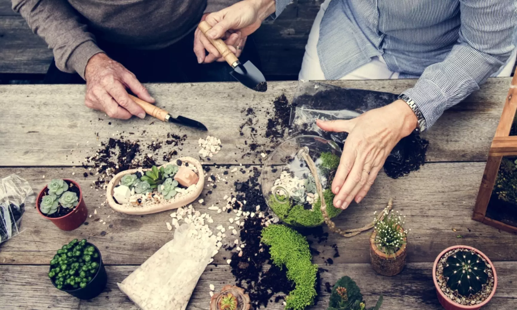 Succulent Terrarium Workshop for One, Two, or Four at Color Cocktail Gallery (Up to 36% Off) - Primary Image