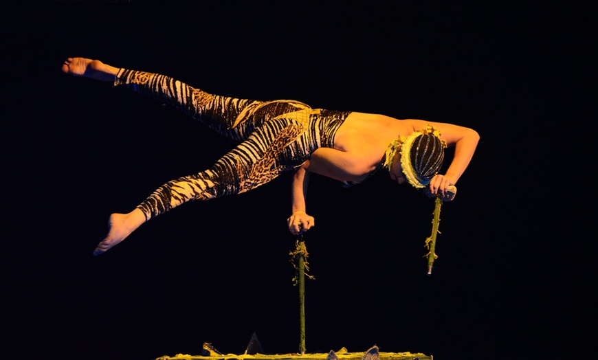 Image 4: Circo David Orfei a Brescia