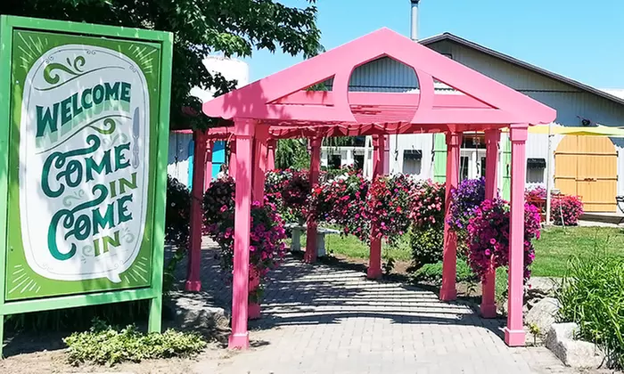 Winery and Cidery Wagon Tour and Tasting for Two or Four at Small Talk Vineyards (49% Off) - Primary Image