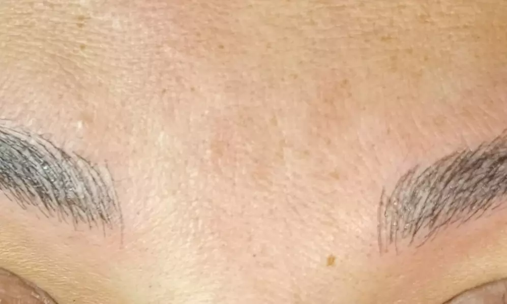 Microblading o microshading con diseño de cejas en Anita La Venezolana