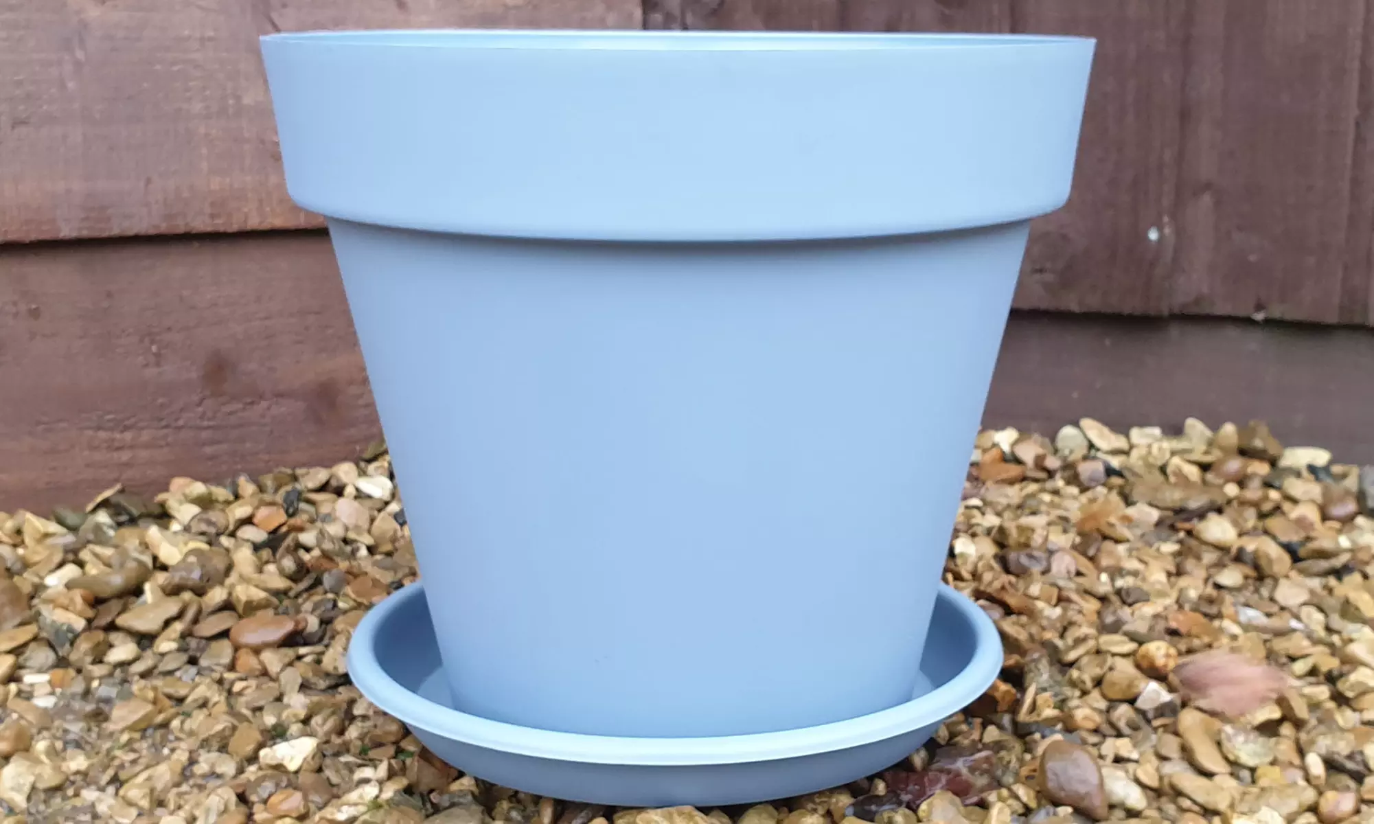 Dwarf Lilac with Optional Planter - Second Medium