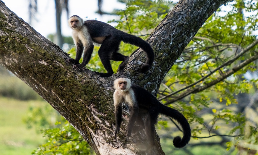 Image 13: ✈6-Night Costa Rica Volcano & Beach Trip w/Air, Car from Travel by Jen
