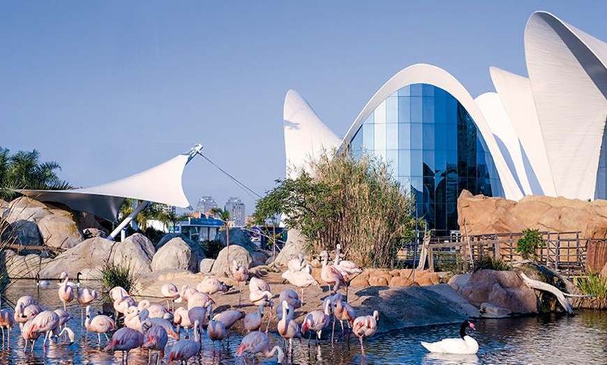 Image 4: 2 entradas para 1 día en el Oceanogràfic Valencia