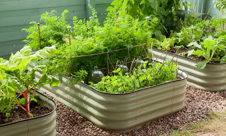 Image 10: One or Two Original Veggie Beds