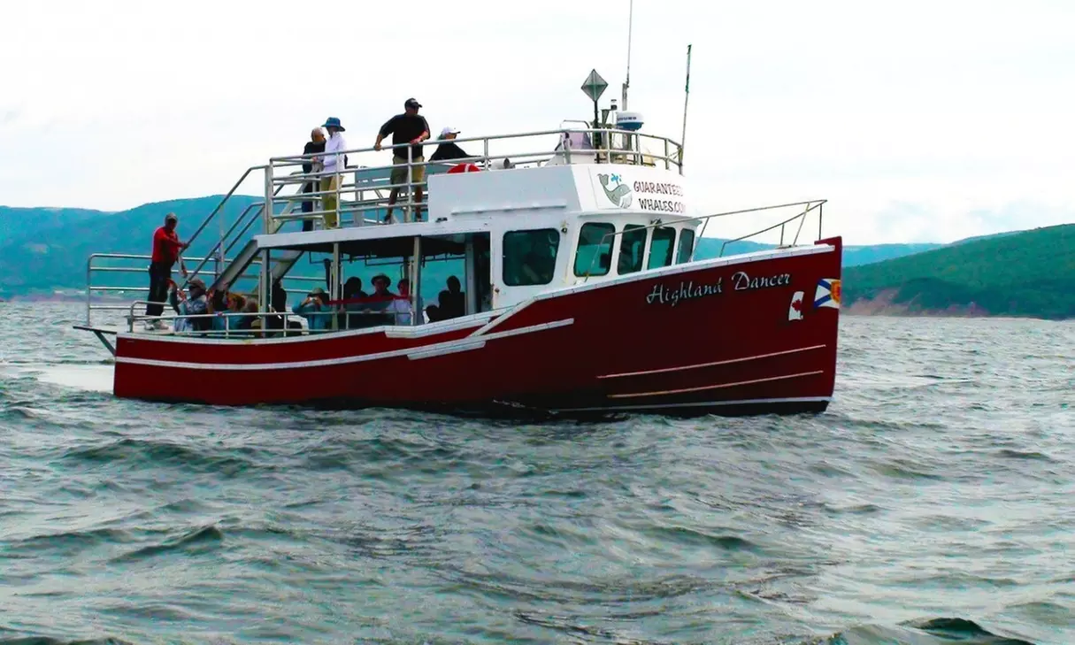 Whale Watching Tour for One, Two, or Four from Guaranteed Whales (Up to 20% Off) - Primary Image