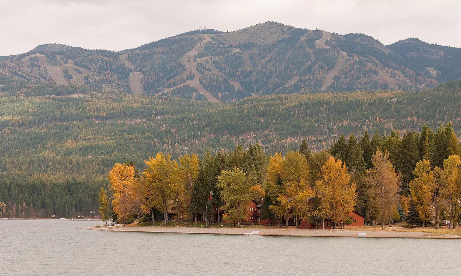 Stay at 4-Star Firebrand Hotel in Whitefish, MT. Dates into January 2018. - Primary Image
