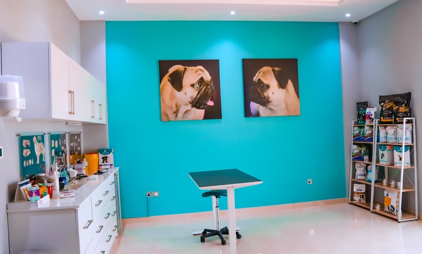 Image 11: Dog / Cat Grooming from Best Veterinary Clinic in the UAE Award Winner