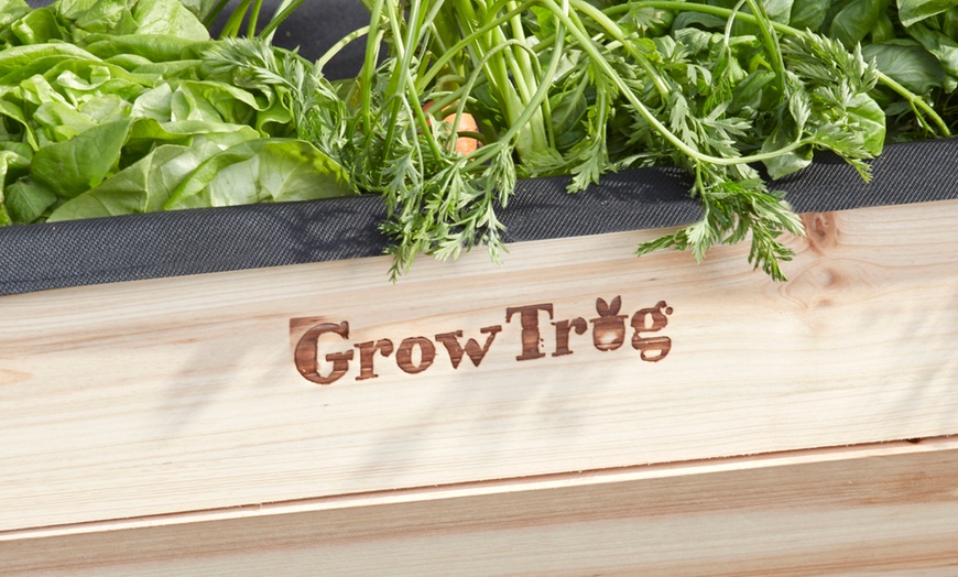 Image 3: Garden Grow Wooden Trug