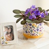 Image 1: Next Day Delivery Lush Plants from 1-800-Flowers (up to 50% off)