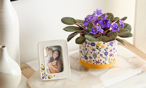 1-800-Flowers plant arrangement