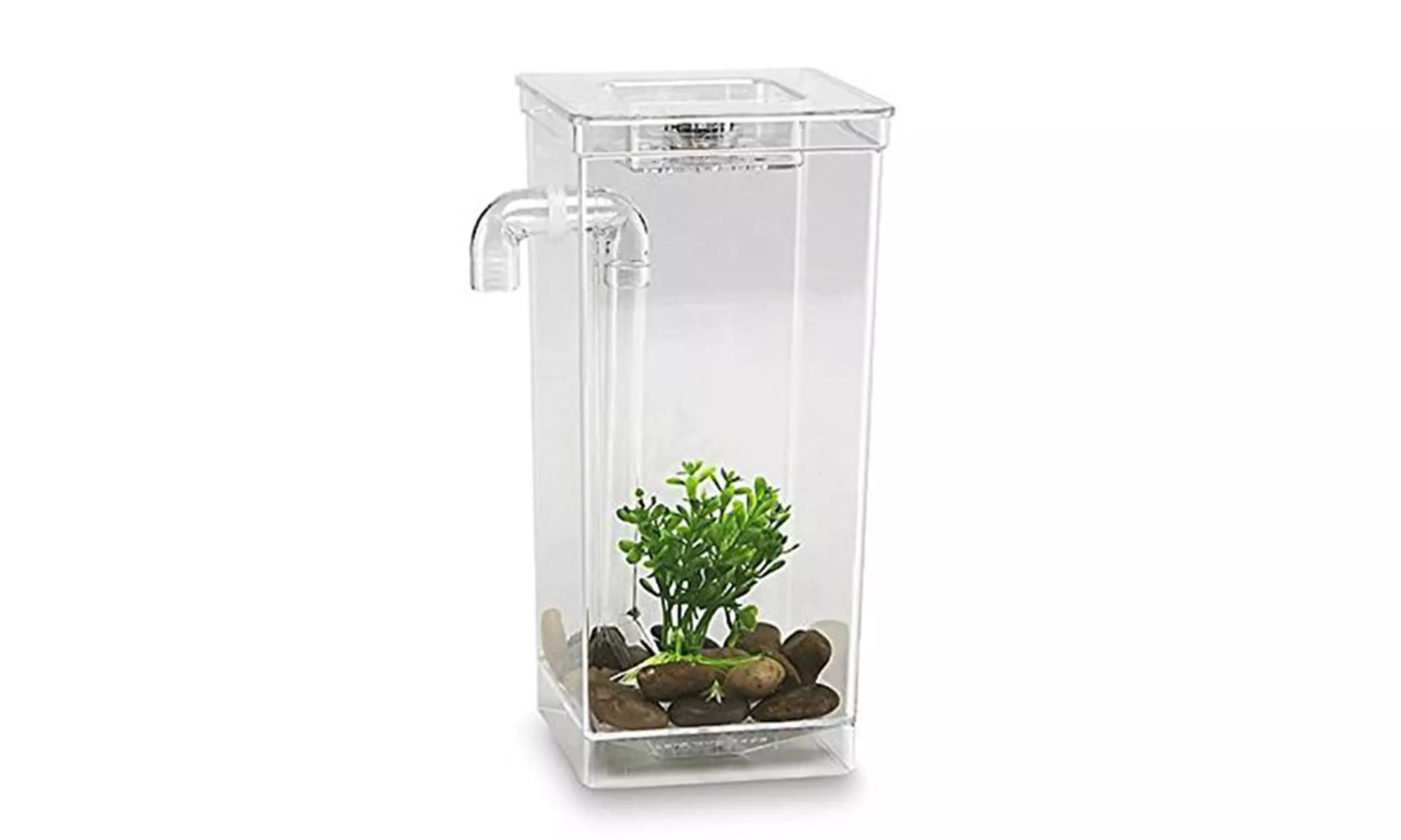 Self-Cleaning Fun Fish Tank - Primary Image
