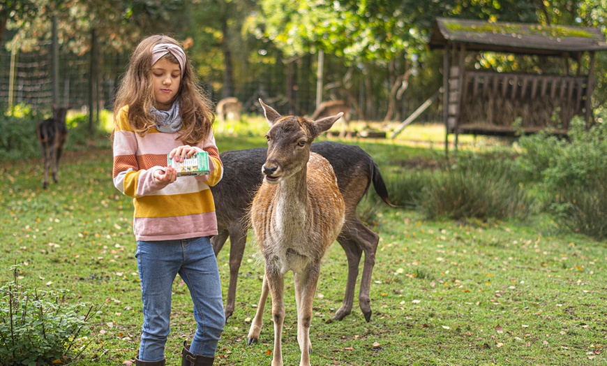 Image 5: Tagesticket Wildpark Müden