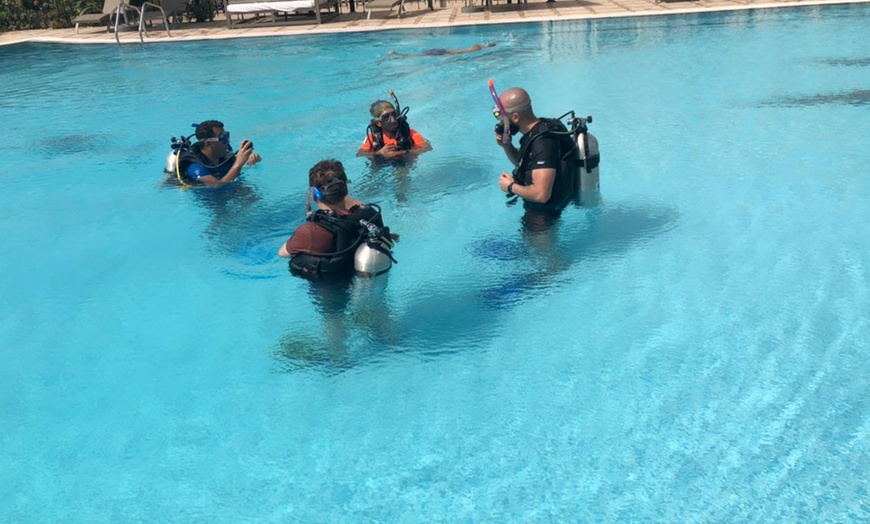 Image 7: Kids Scuba Ranger Diving Course