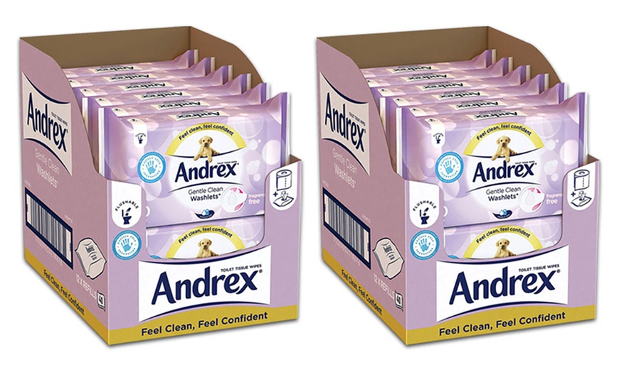 Image 12: Andrex Flushable Wipes
