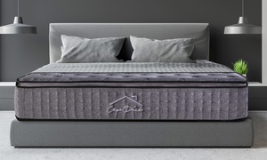 Free Ship: Bamboo Spring Mattress