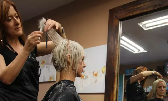 Deep Conditioning/ Gray Base Color/ Haircut w/ Highlights/Color