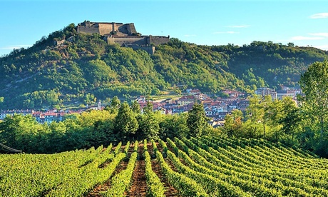 Terre del Gavi: camera matrimoniale o monolacale con colazione per 2 presso Tenuta della Guardia di Gavi