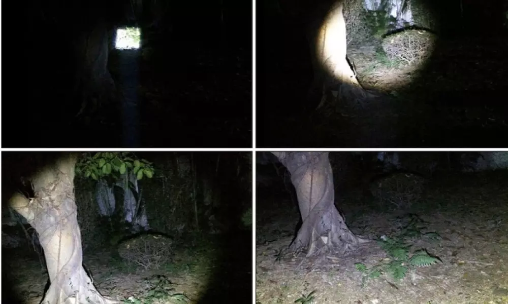 Cree LED Flashlights - Second Medium