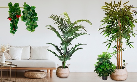 Piante artificiali WellHome, disponibili in varie tipologie e dimensioni