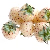Image 4: 5 or 10 White Strawberry Snow White Plants