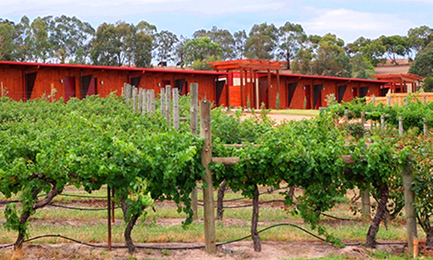Image 3: Yarra Valley: Vineyard Escape