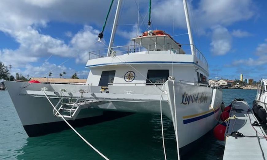Image 3: Glass Bottom Whale Watching Cruise at Waikiki